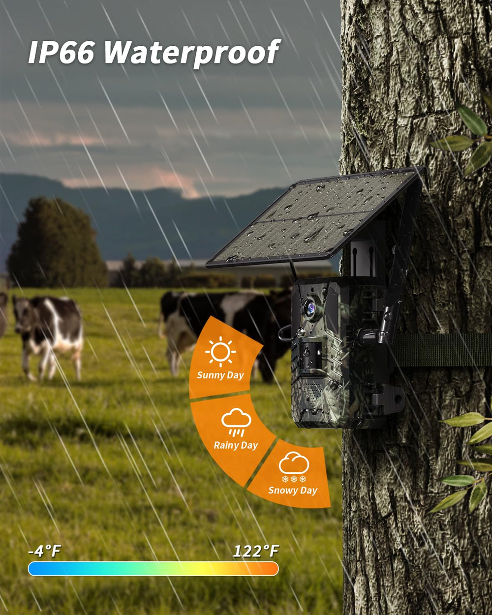 Loatos intelligent app view emphasizes real-time alerts and remote viewing benefits