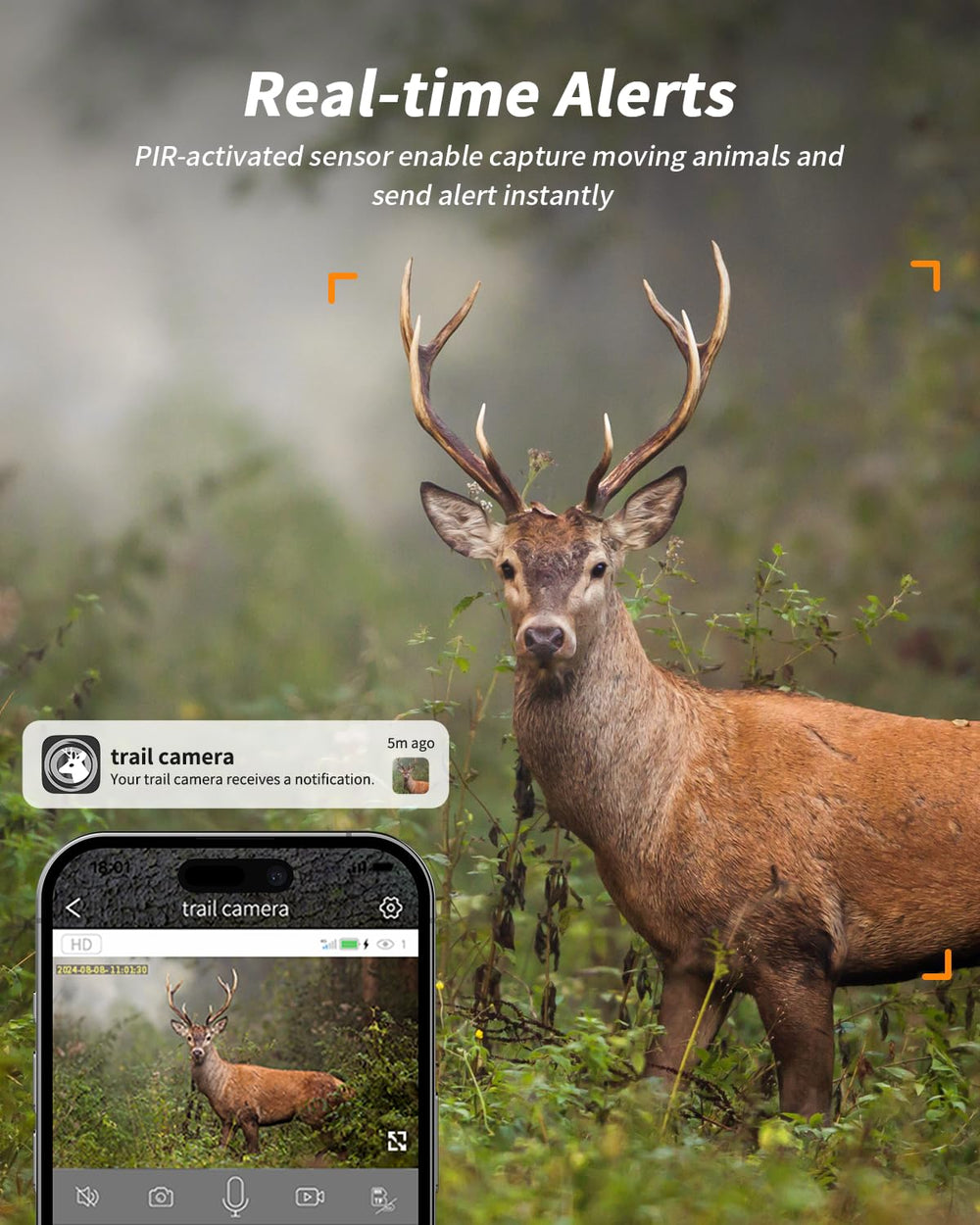 Loatos trail camera 0.2s trigger speed captures fast wildlife moments