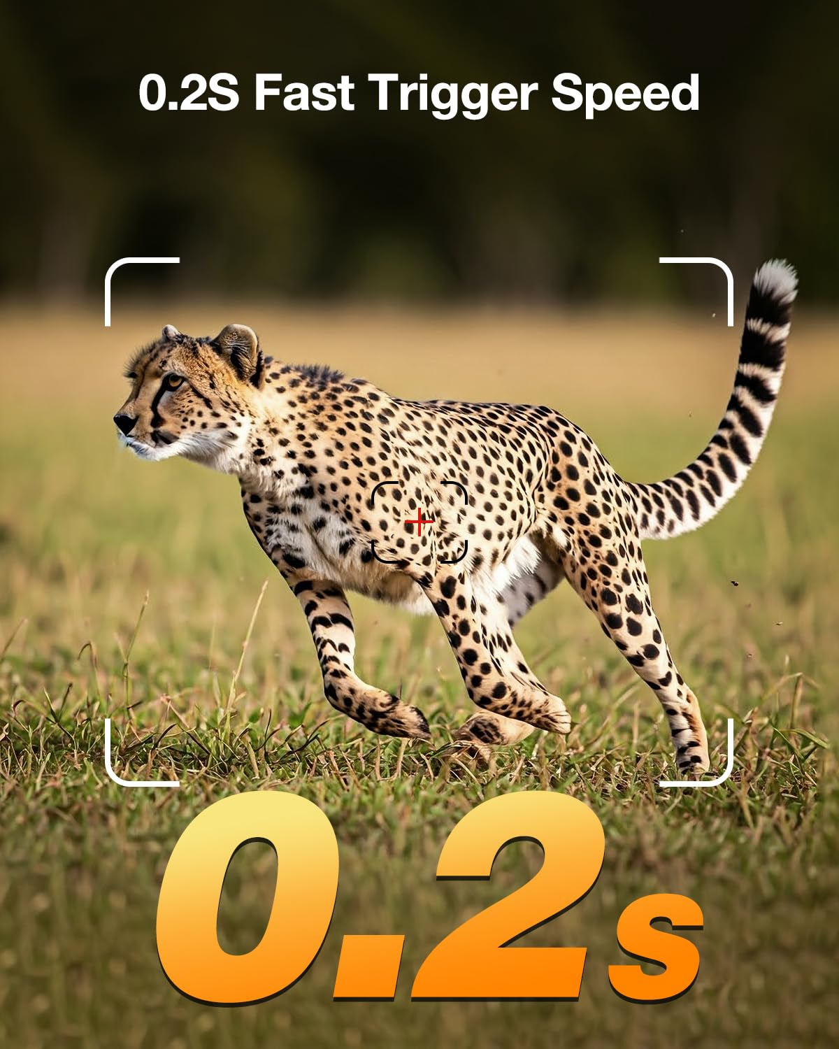 Loatos trail camera IP66 waterproof housing withstands rain and dust.