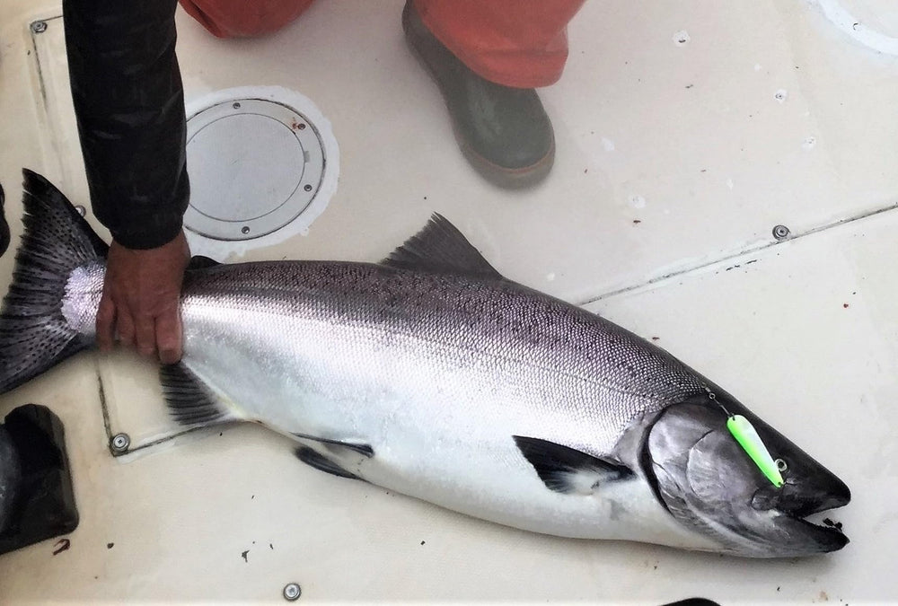 Face images of Herring Aid, Green Hornet, and Blue Dorado Loony Spoons