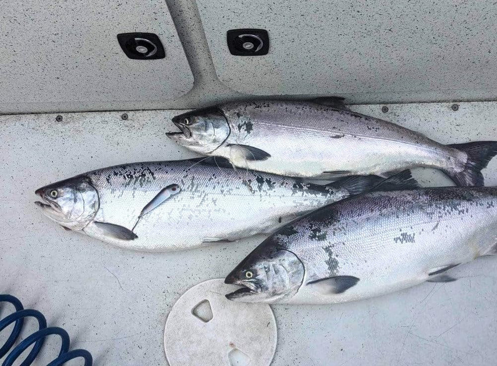 Side view highlighting sterling silver plating and 3X strong Mustad 9510XXXX hooks.