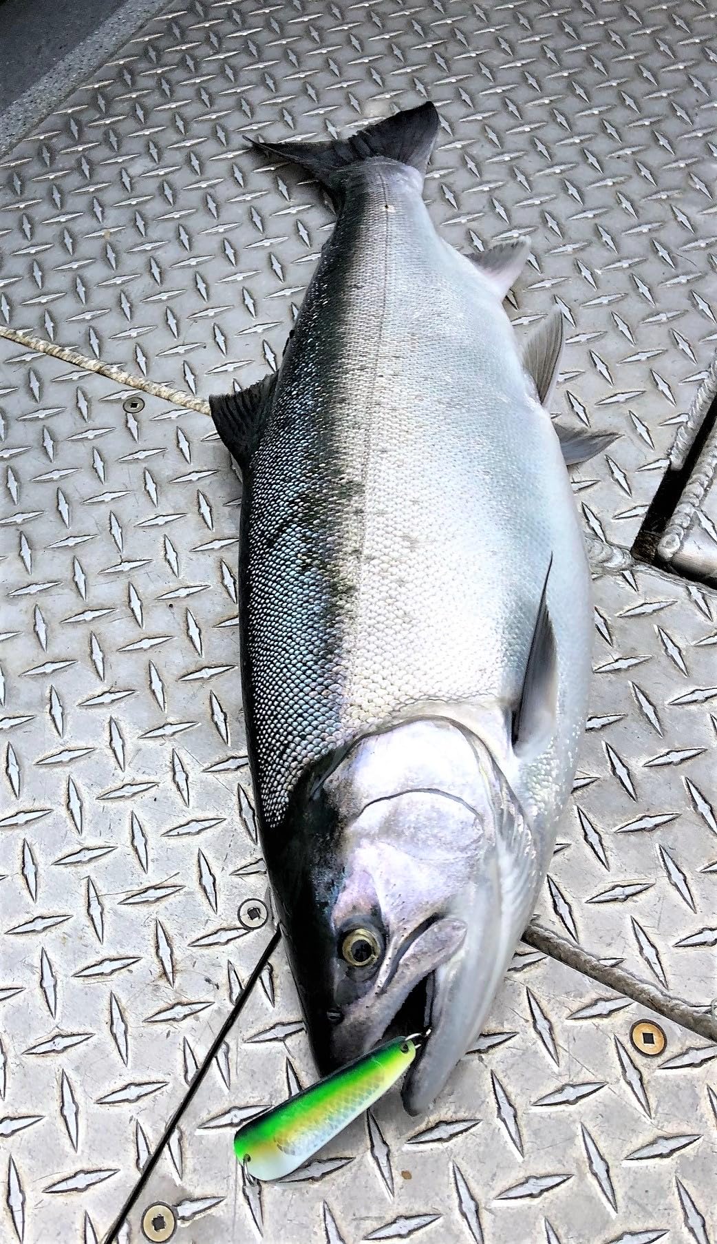 Loony Spoon with UV halo prism foil finish