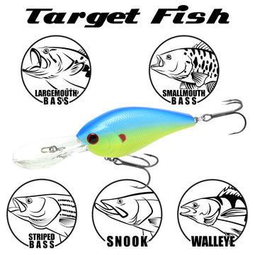 Lucky Craft LC 2.0XD hook detail highlights VMC hooks for reliable hookups.