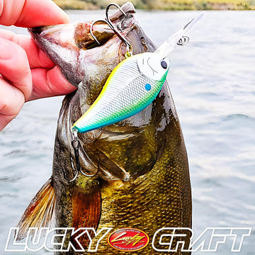 Lucky Craft LC 2.0XD packaging image shows ready-to-fish lure in sturdy box.