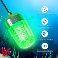 Front view of Luckerain light mounted on boat hull emitting green light