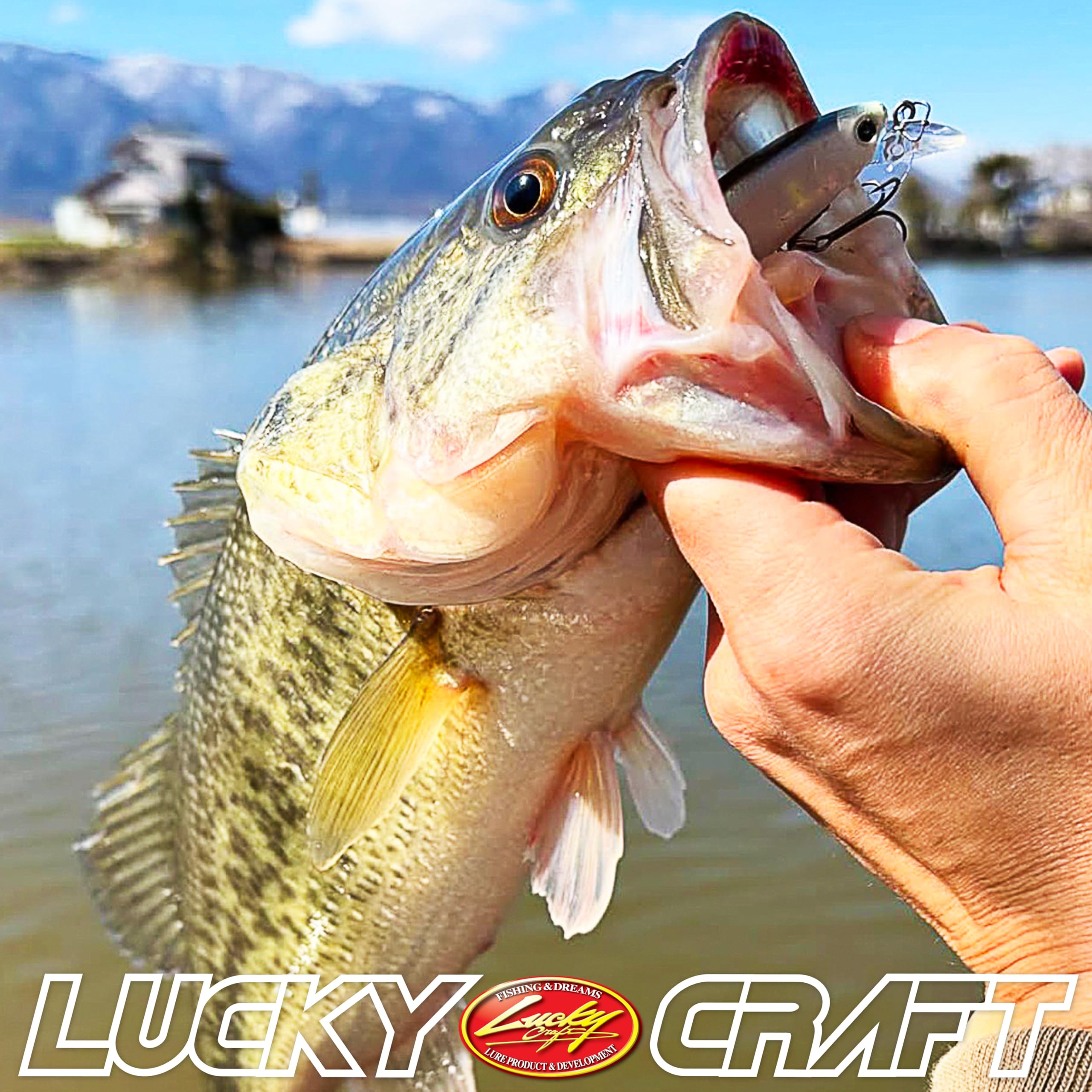 LUCKY CRAFT B’Freeze 65SP optimized casting for light tackle setups.