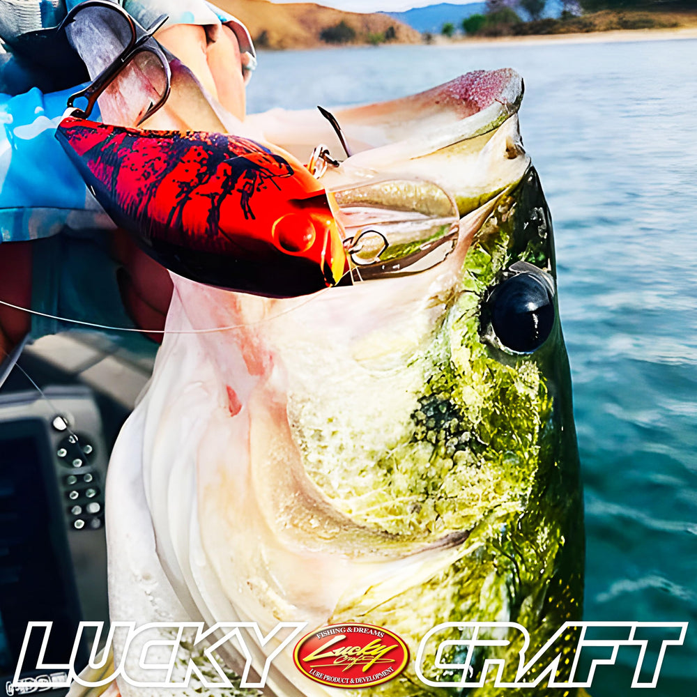 LUCKY CRAFT Fat CB BDS3 146 to Chart - product shot