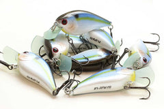 LUCKY CRAFT KJ Flat 1.5 183 Pearl Threadfin Shad lure angled shot