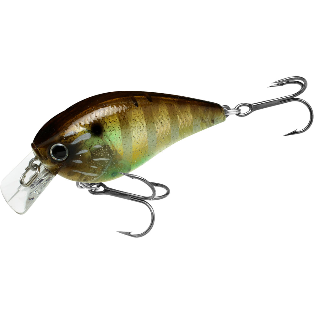 Lucky Craft LC 1.5 Silent Crankbait close-up shows robust floating body for shallow retrieves.