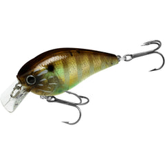 Lucky Craft LC 1.5 Silent Crankbait close-up shows robust floating body for shallow retrieves.