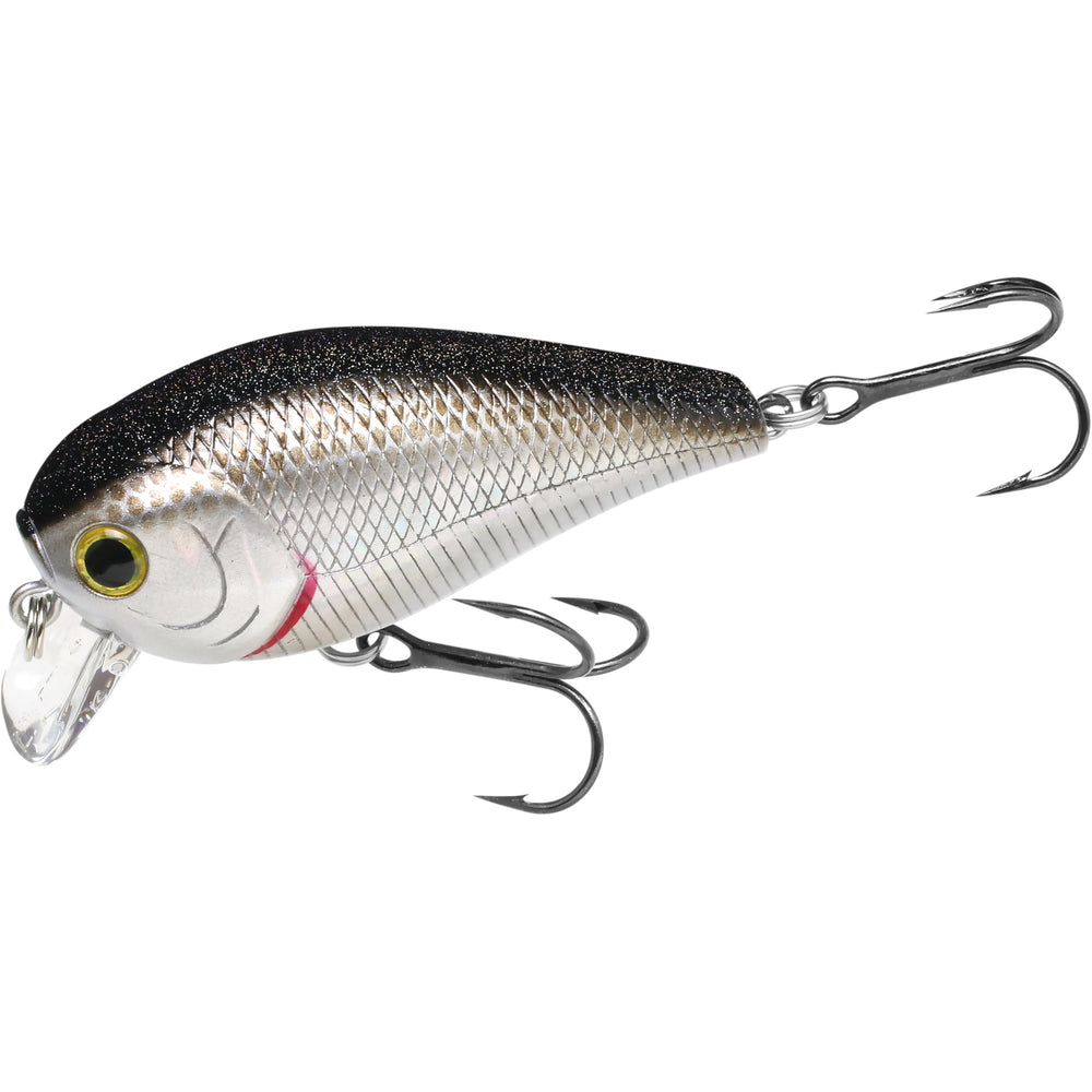 LUCKY CRAFT LC 1.5SSR - Golden Shiner lure close-up