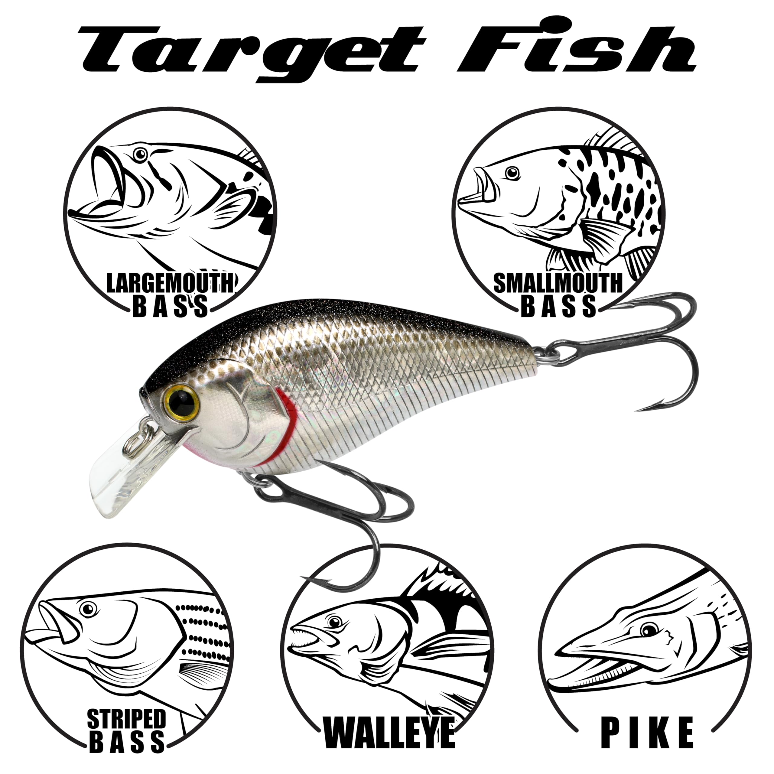 3D gill detail and lifelike finish on 426 Gold Threadfin Shad lure