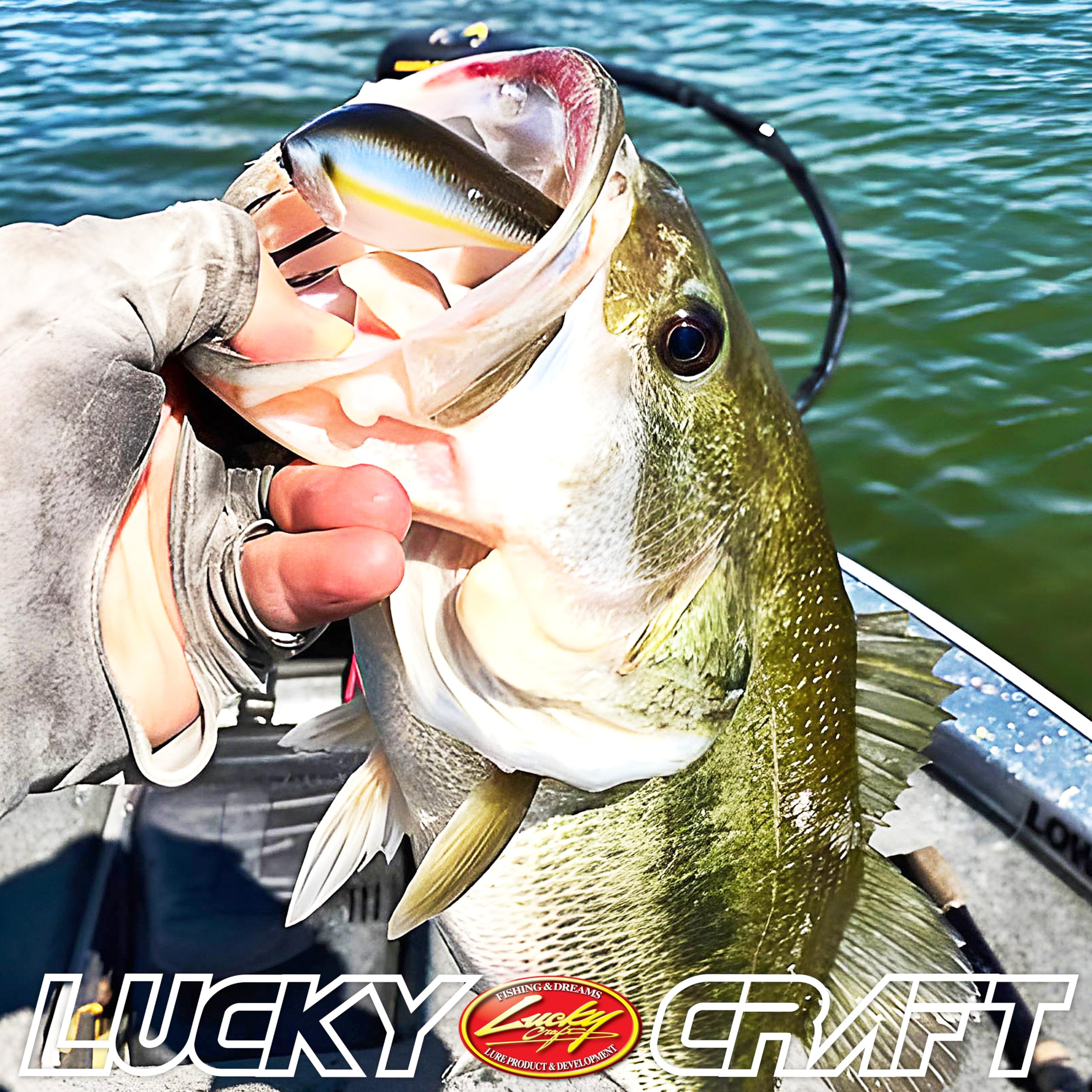 Angled shot highlighting floating profile and action in water