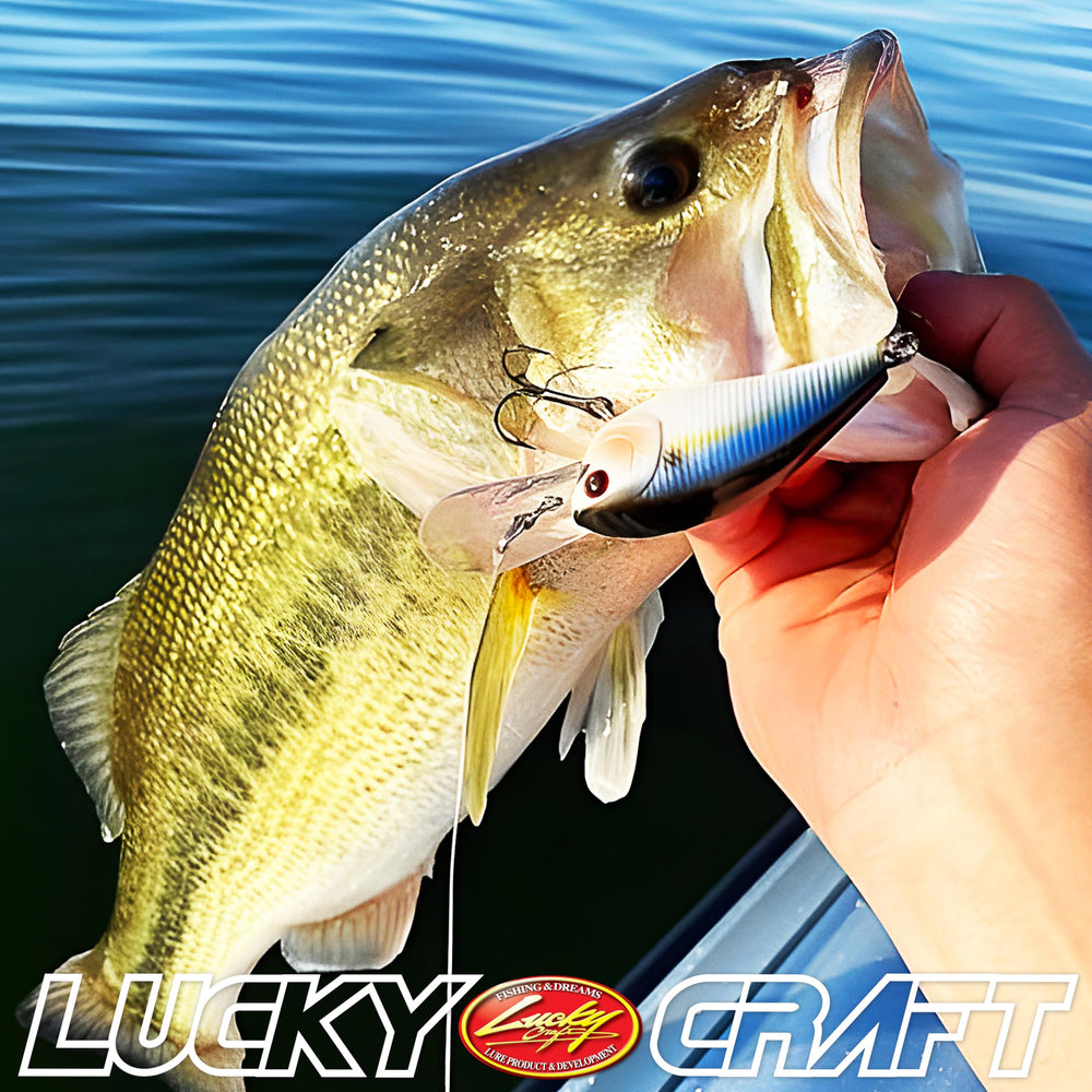 Premium color patterns of LC DD DRS crankbait for bass fishing