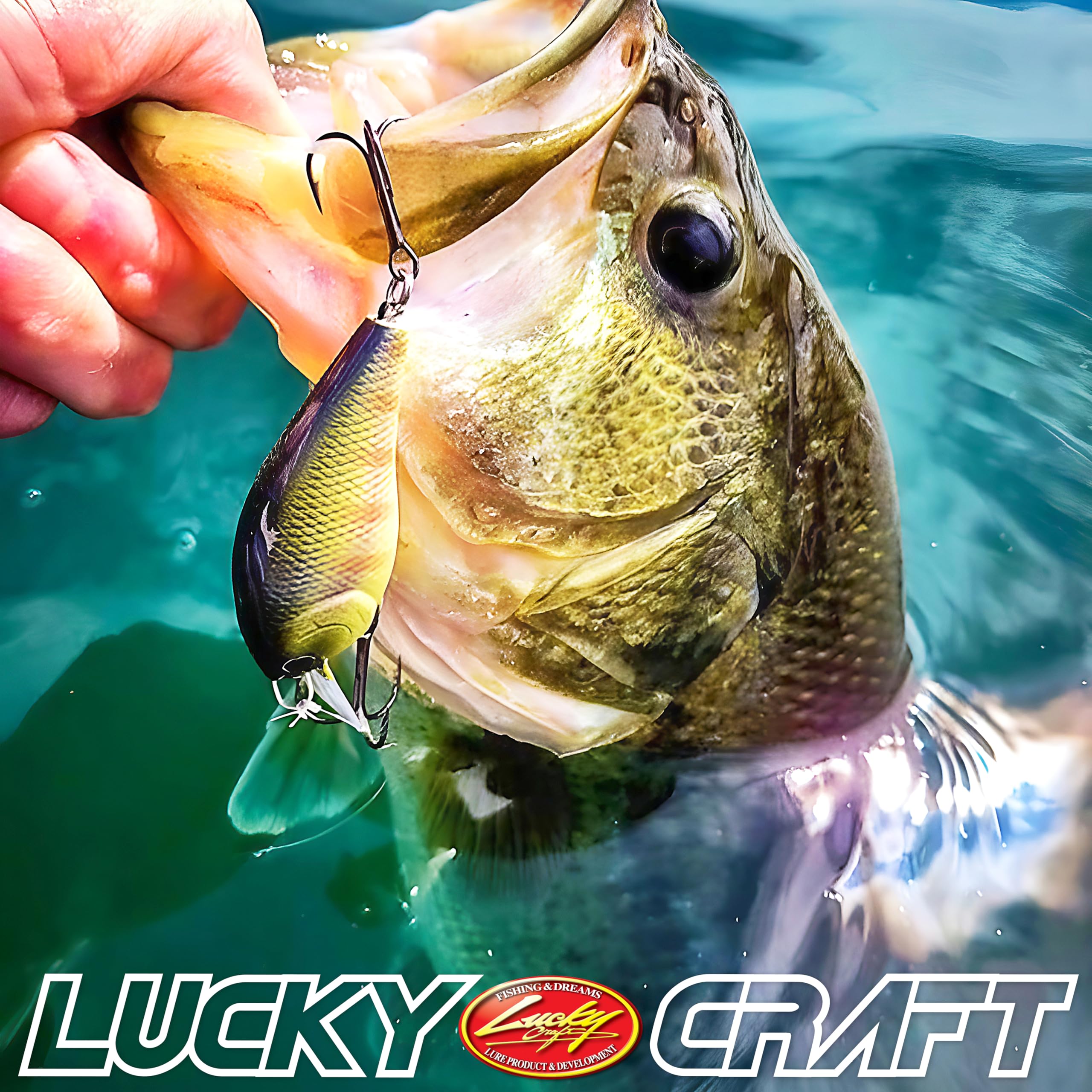 Bass pike trout freshwater fishing lure in tackle box