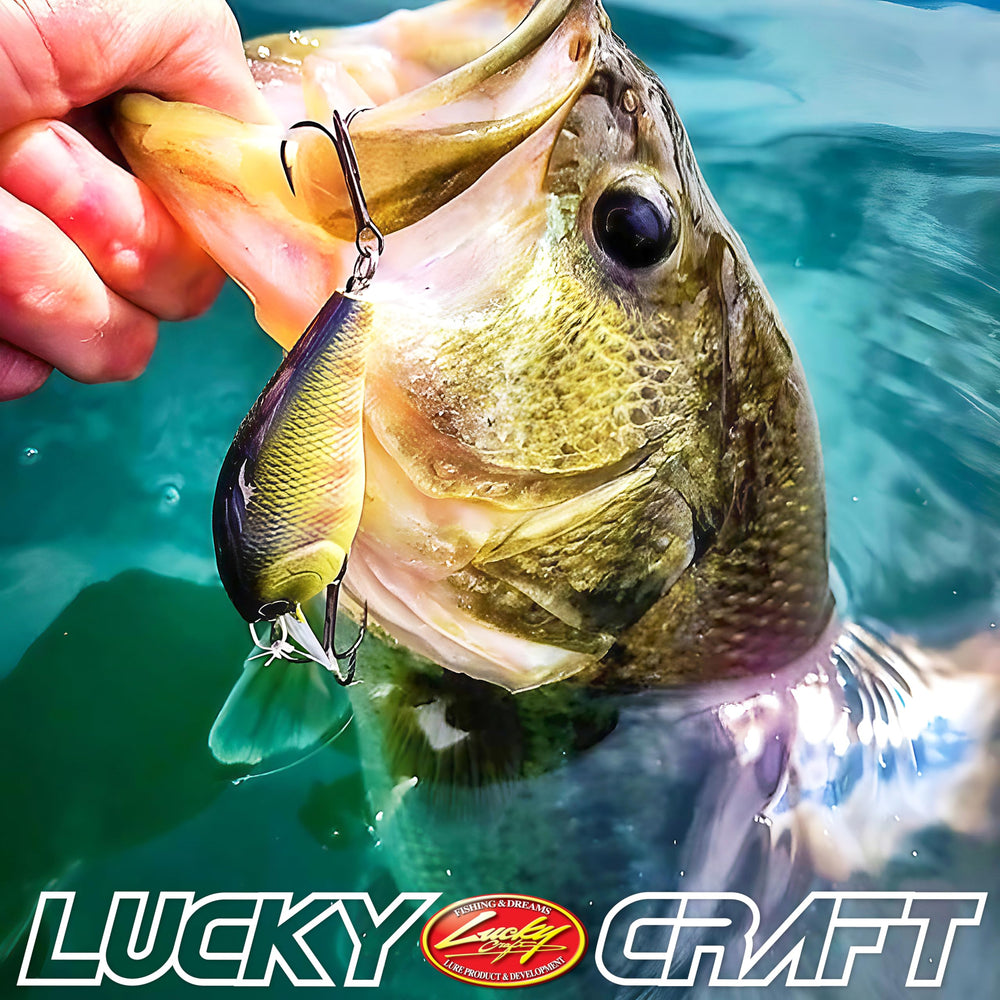 Bass pike trout freshwater fishing lure in tackle box