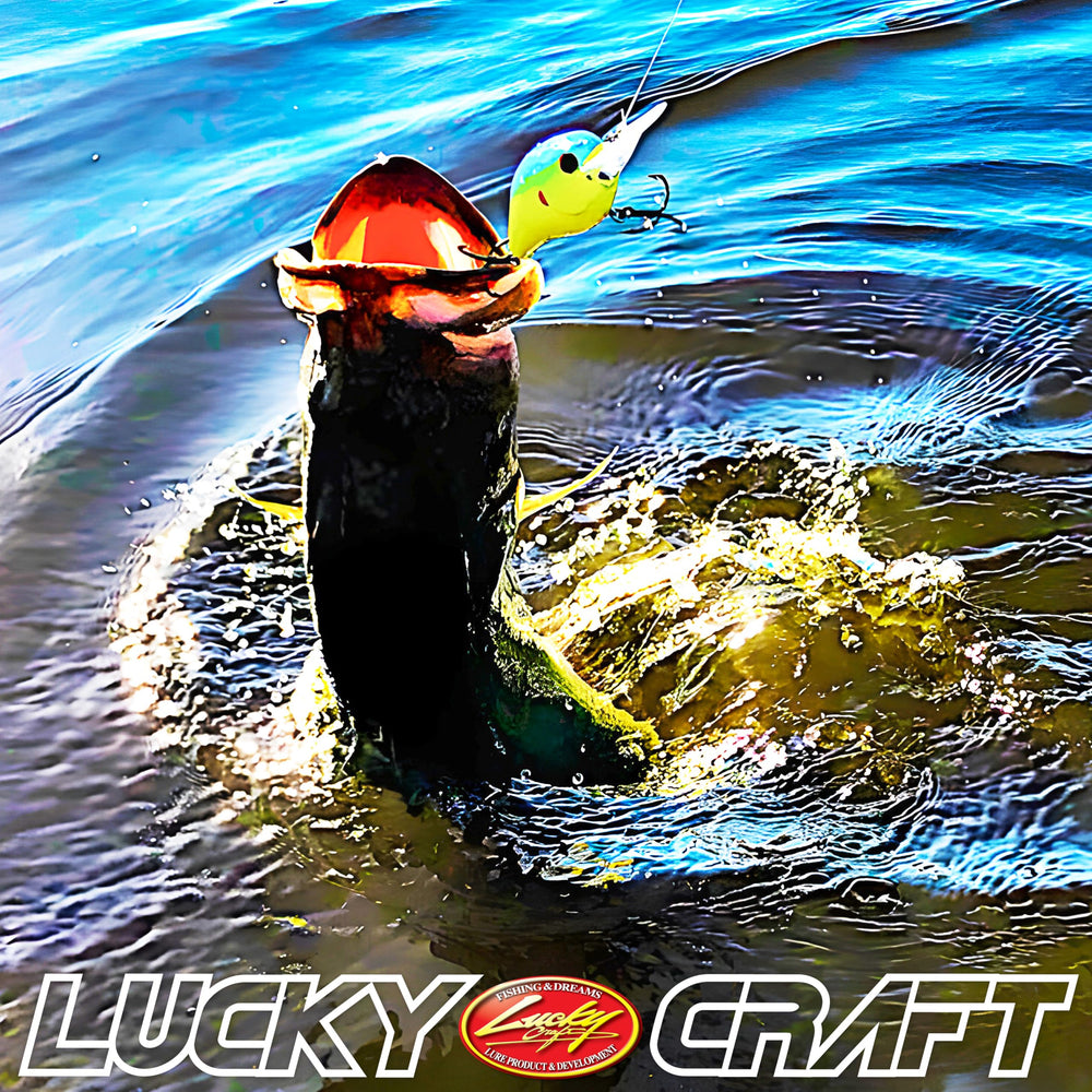 LC 3.5 Silent Crankbait in tackle box with freshwater gear