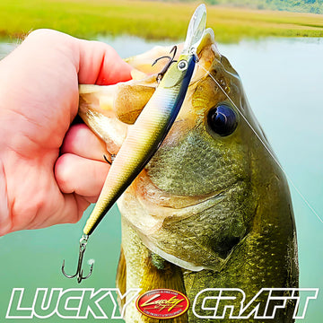 LUCKY CRAFT Lightning Pointer 100DD packaging ready for tackle boxes