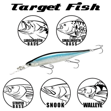 Lucky Craft Staysee water action showing side-to-side wobble and erratic darts
