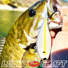 LUCKY CRAFT LV-150 compact lure ideal for shallow-water structure.