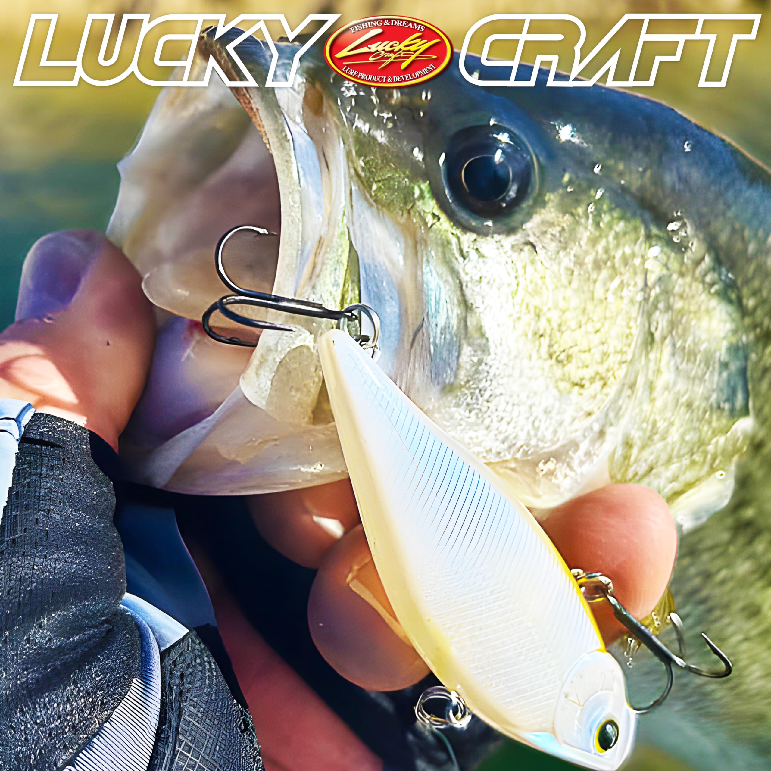 LUCKY CRAFT LV-500 MAX 269 BE GILL color boosts visibility in murky water.