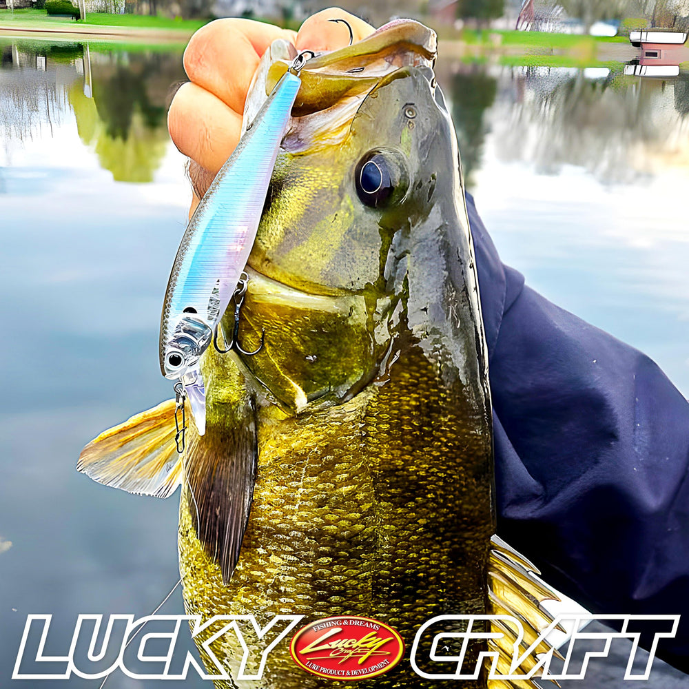 LUCKY CRAFT Pointer 100 Zebra Aurora Black hand-painted finish improves visibility and realism