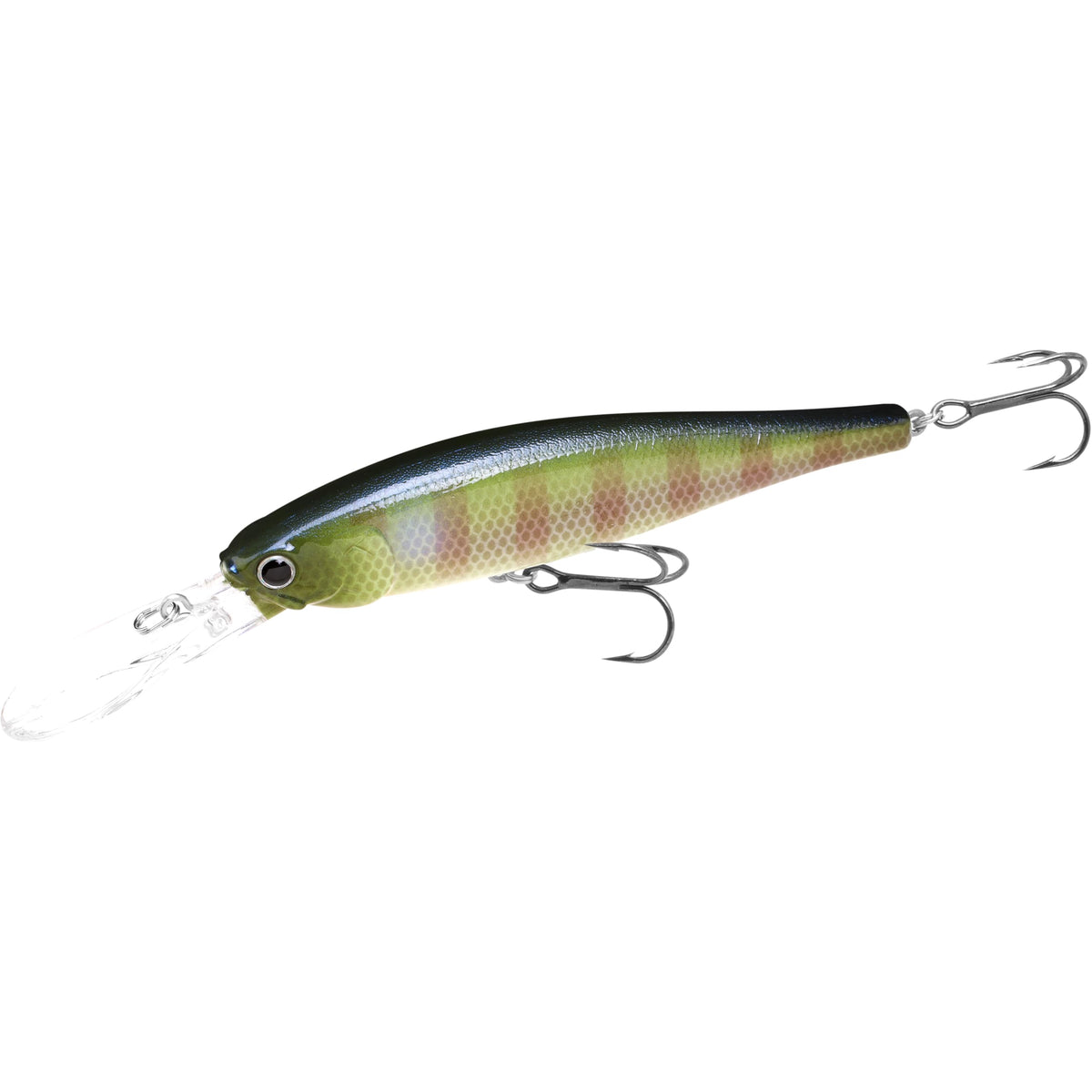 LUCKY CRAFT Pointer 100DD front view