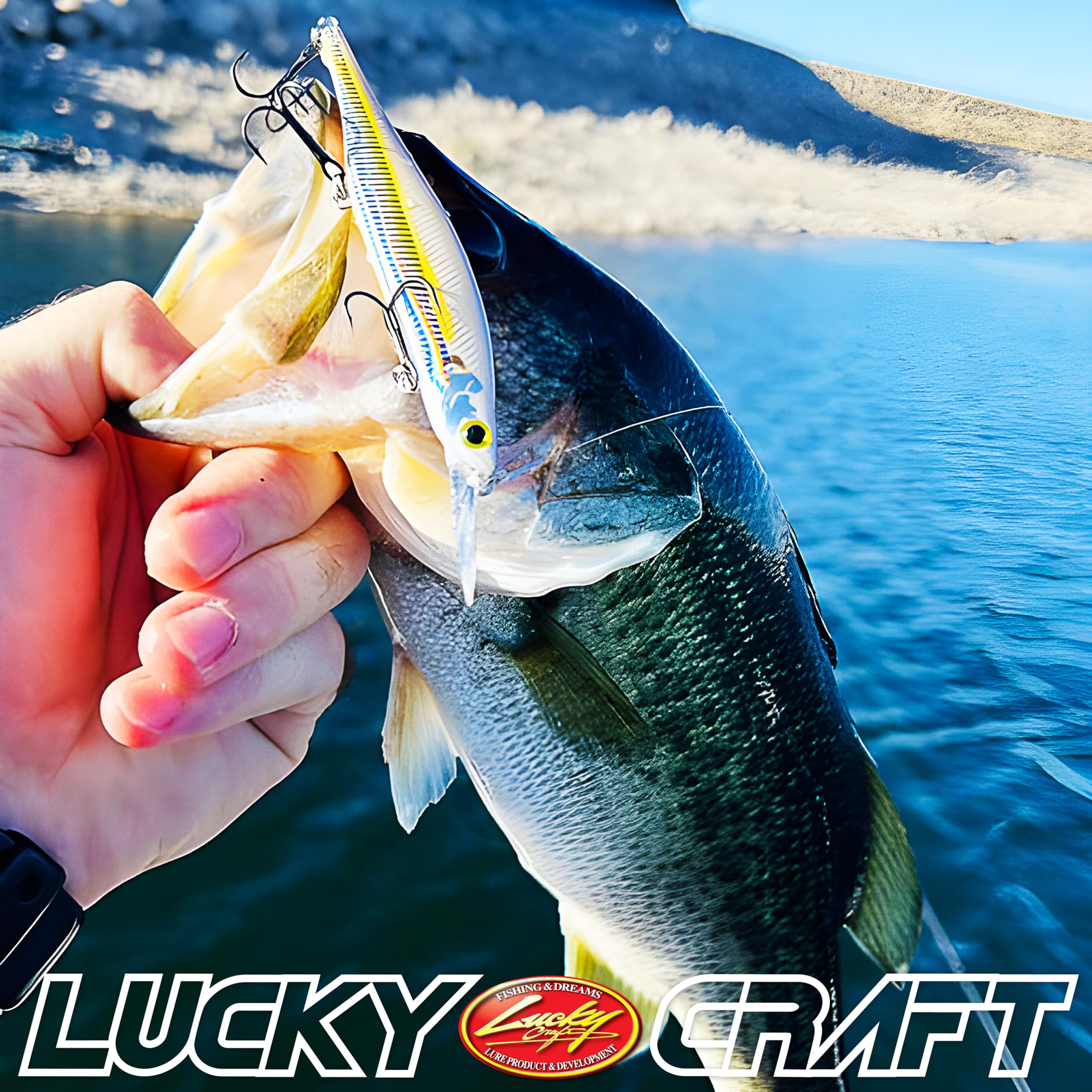 LUCKY CRAFT Pointer 100DD packaging shows ready-to-tie lure for quick setups.