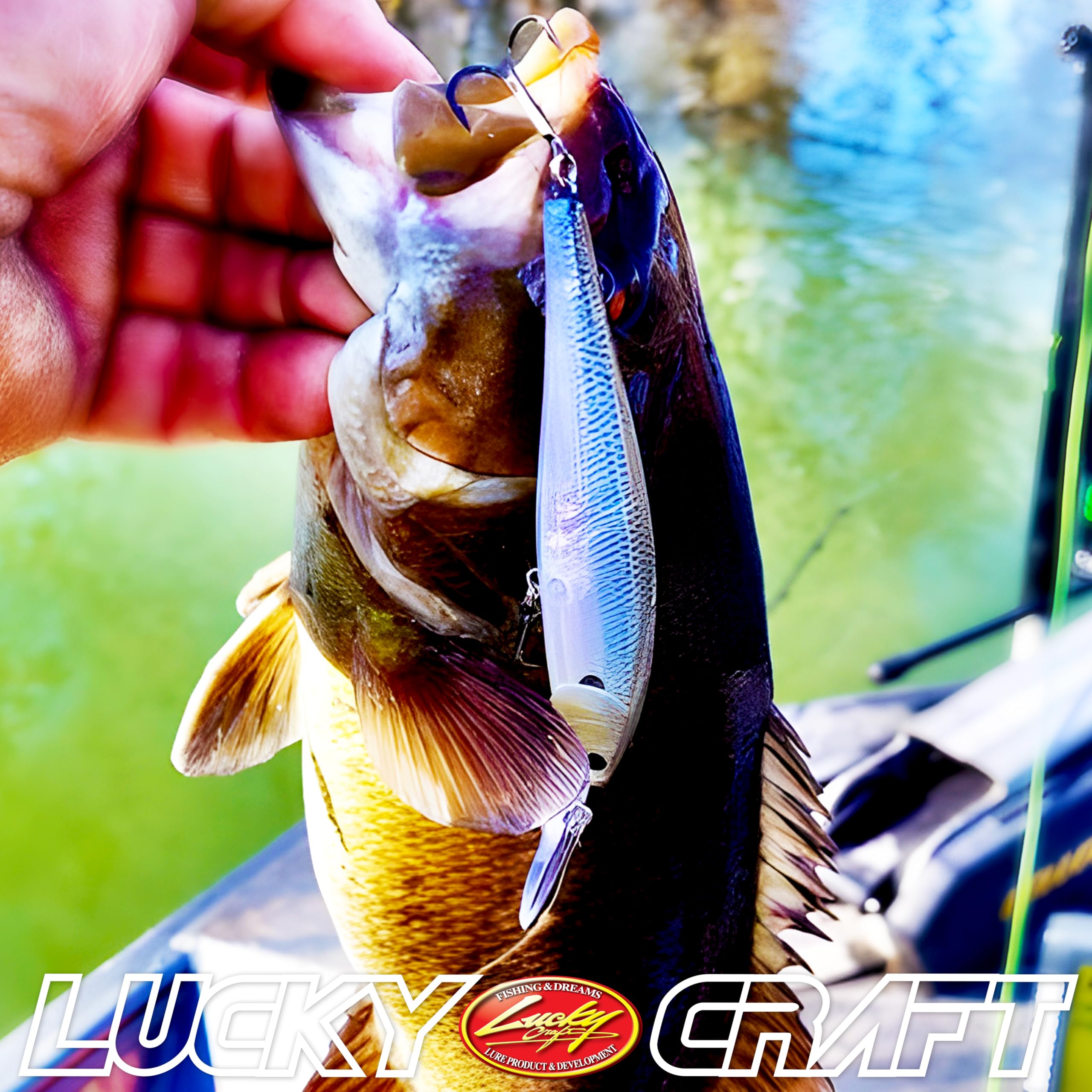 Pointer 100DD in tackle box with other lures