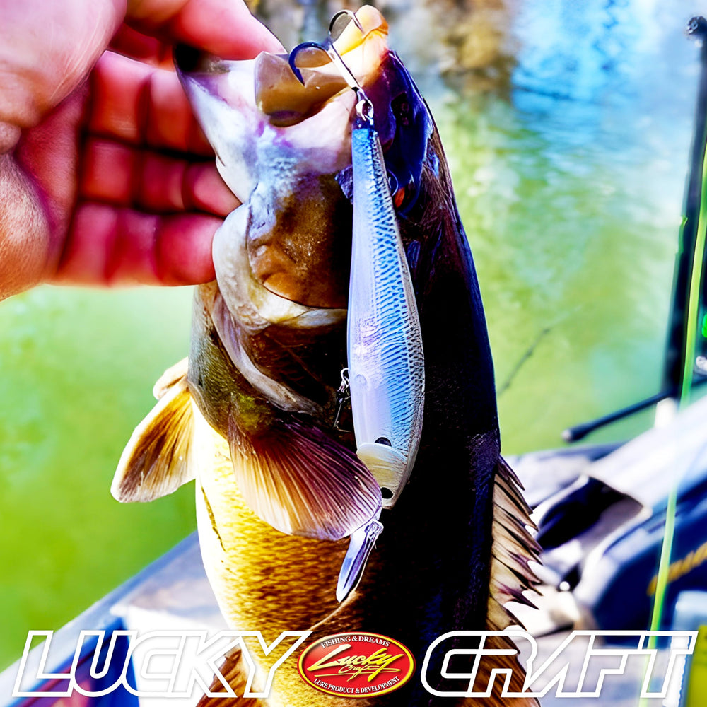 Pointer 100DD in tackle box with other lures