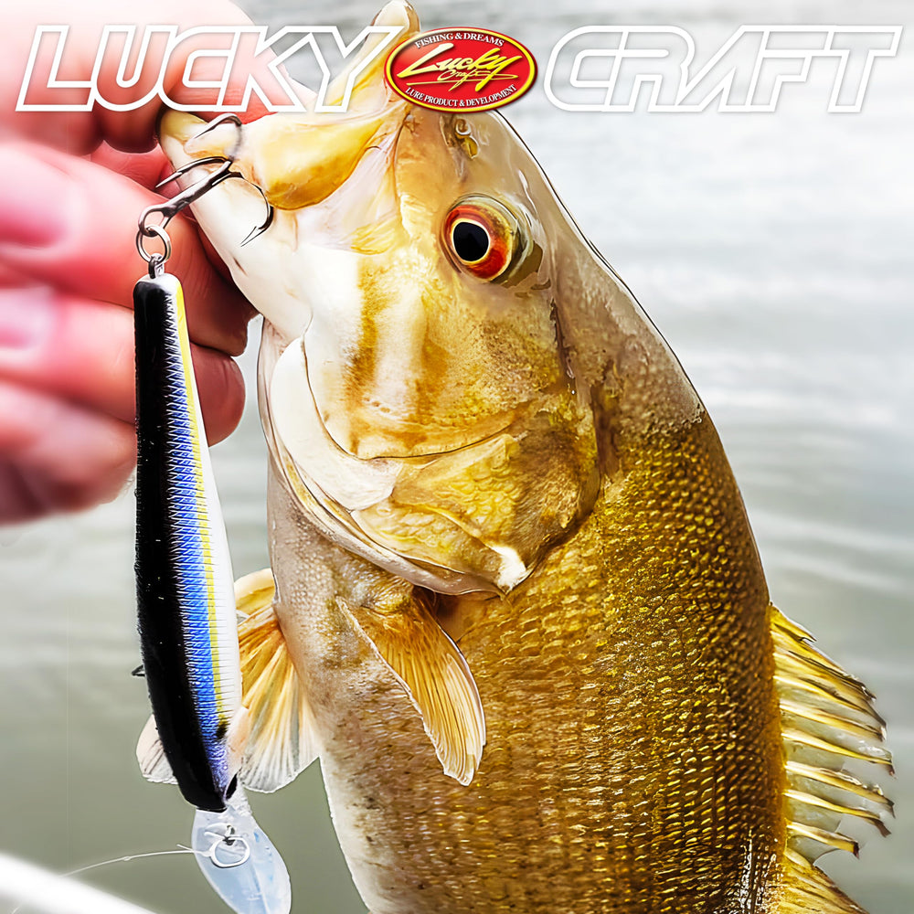 Lucky Craft Pointer 100XD aurora black hand-painted finish boosts visibility