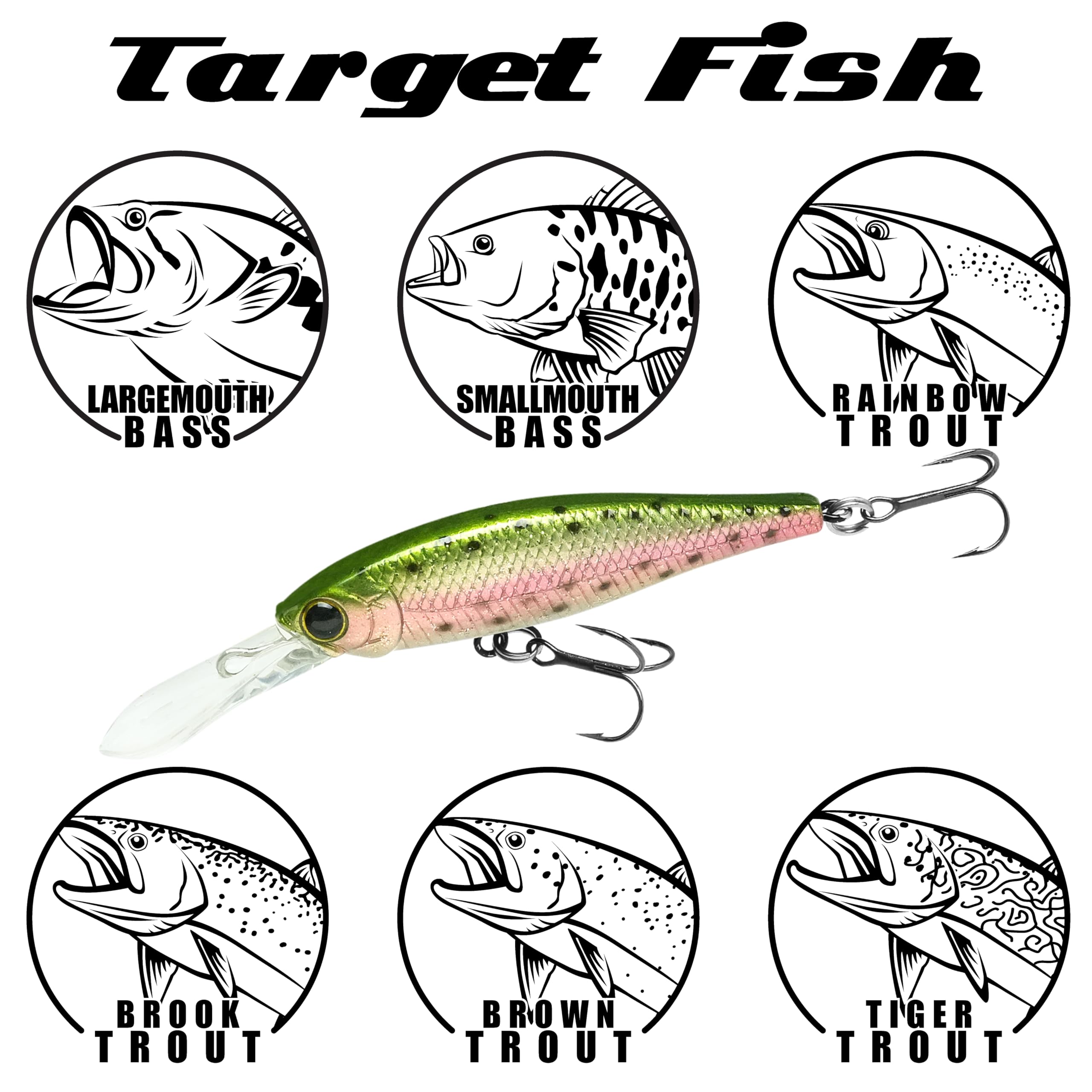 Bass and trout fishing setup with Pointer 48DD Amago