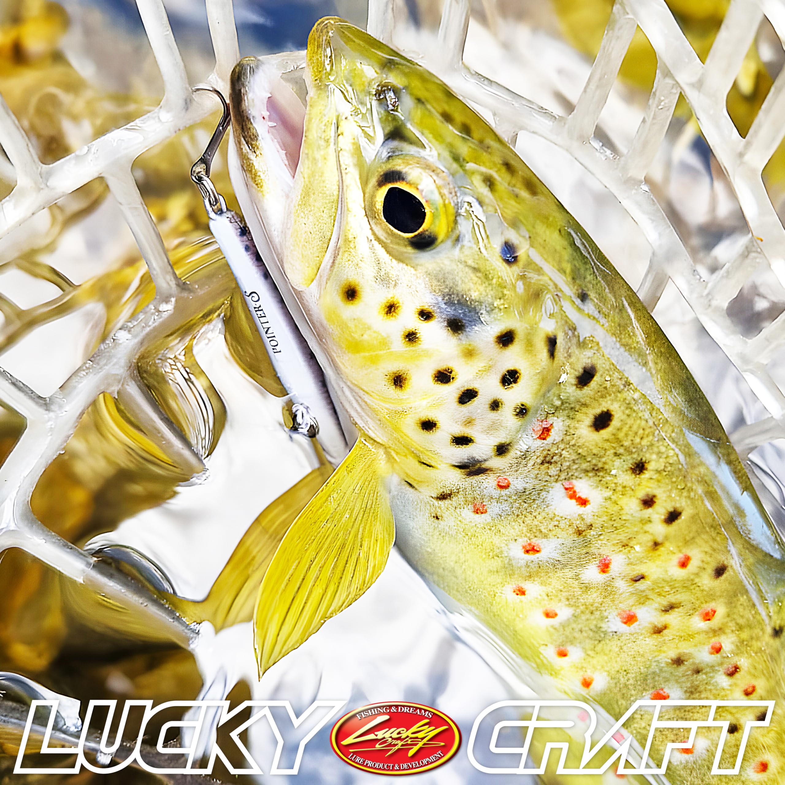Hand-painted multi-layer Amago finish on Pointer 48DD lure