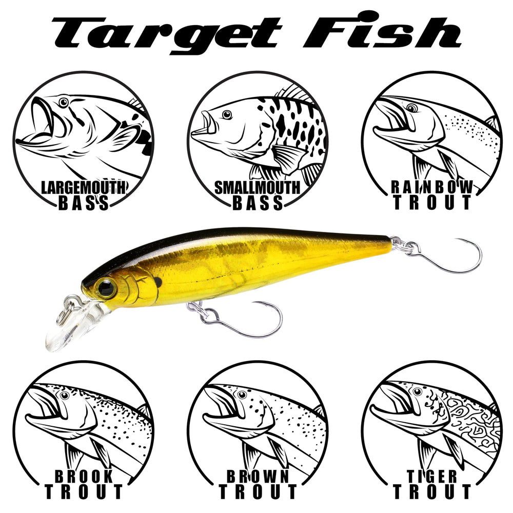 Back view of LUCKY CRAFT Pointer 65 SFT Aurora Gold