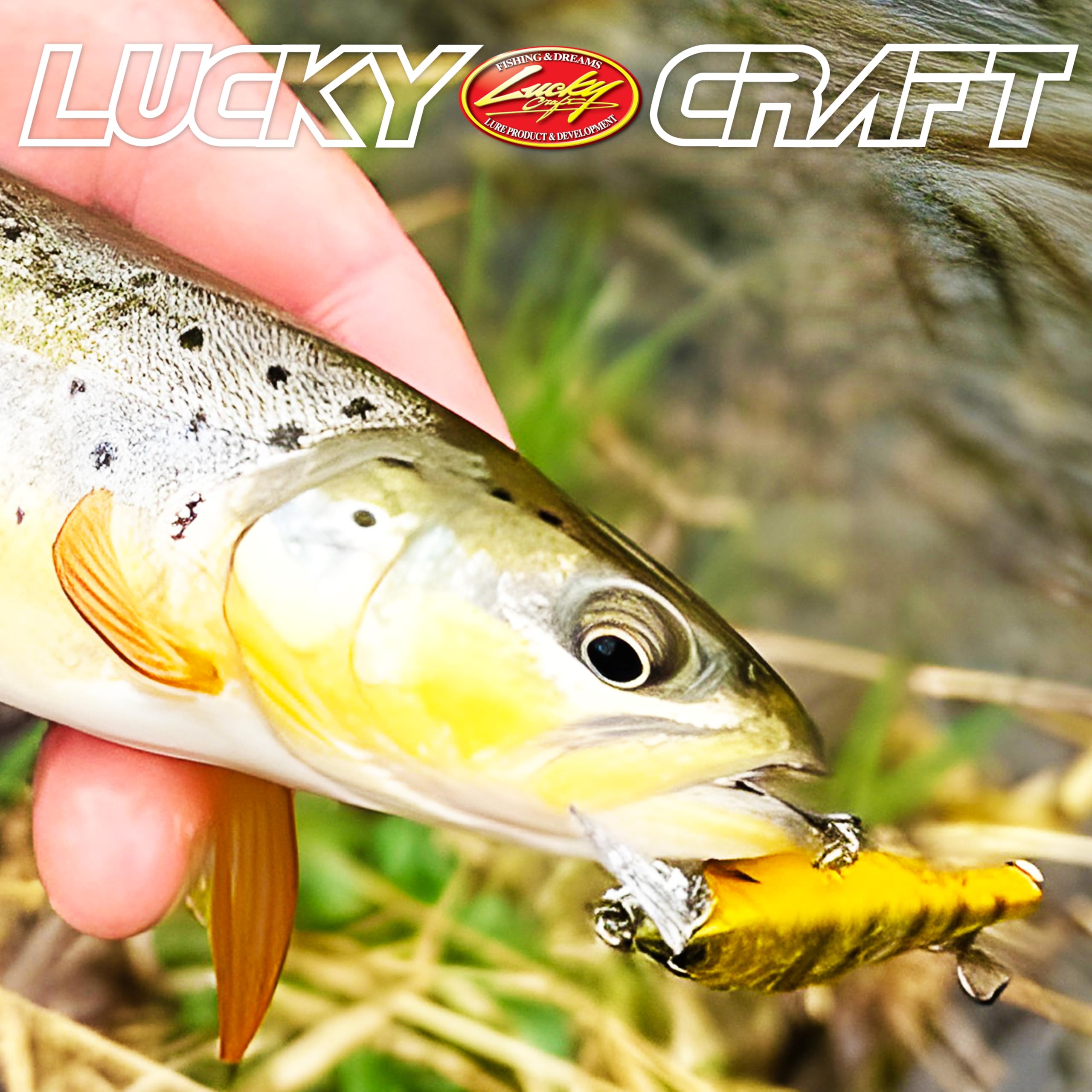 LUCKY CRAFT Pointer 65DD near rock and wood cover for targeted bites.