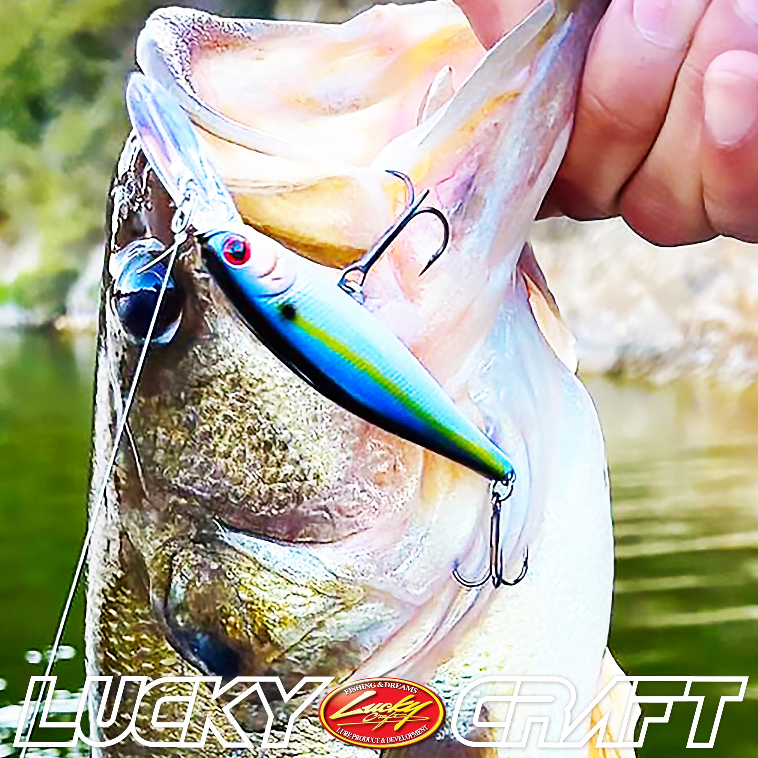 Lucky Craft Pointer 78DD freshwater lure in action for bass and trout.