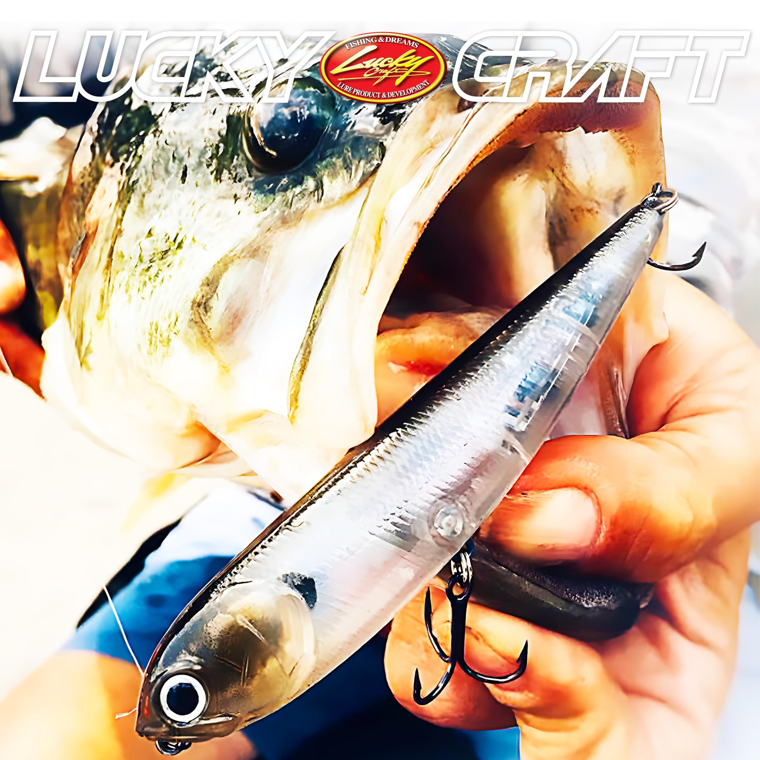 Tackle box with Lucky Craft Sammy 115 lure and accessories