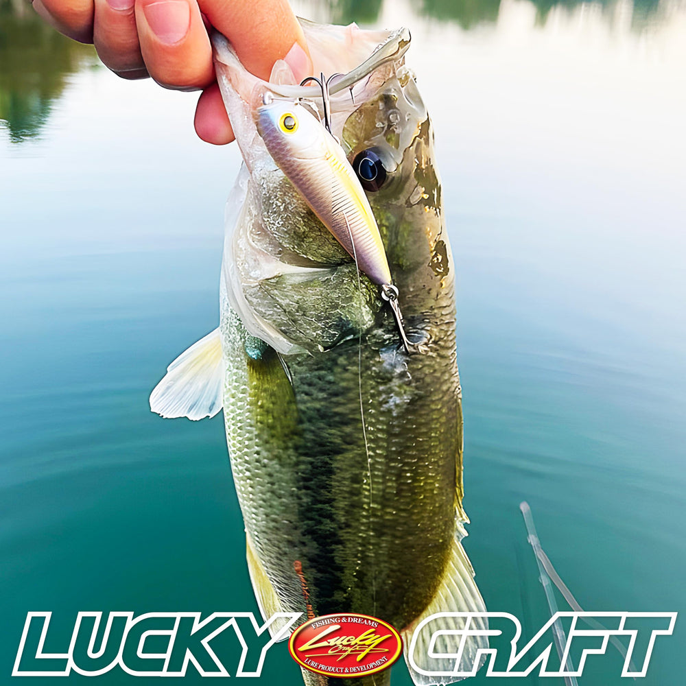 LUCKY CRAFT Sammy 65 topwater lure designed for surface strikes during dawn and dusk.
