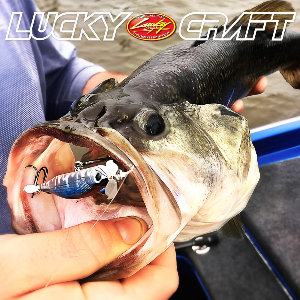 LUCKY CRAFT Screw Pointer hand-painted reflective finish boosts visibility in open water.