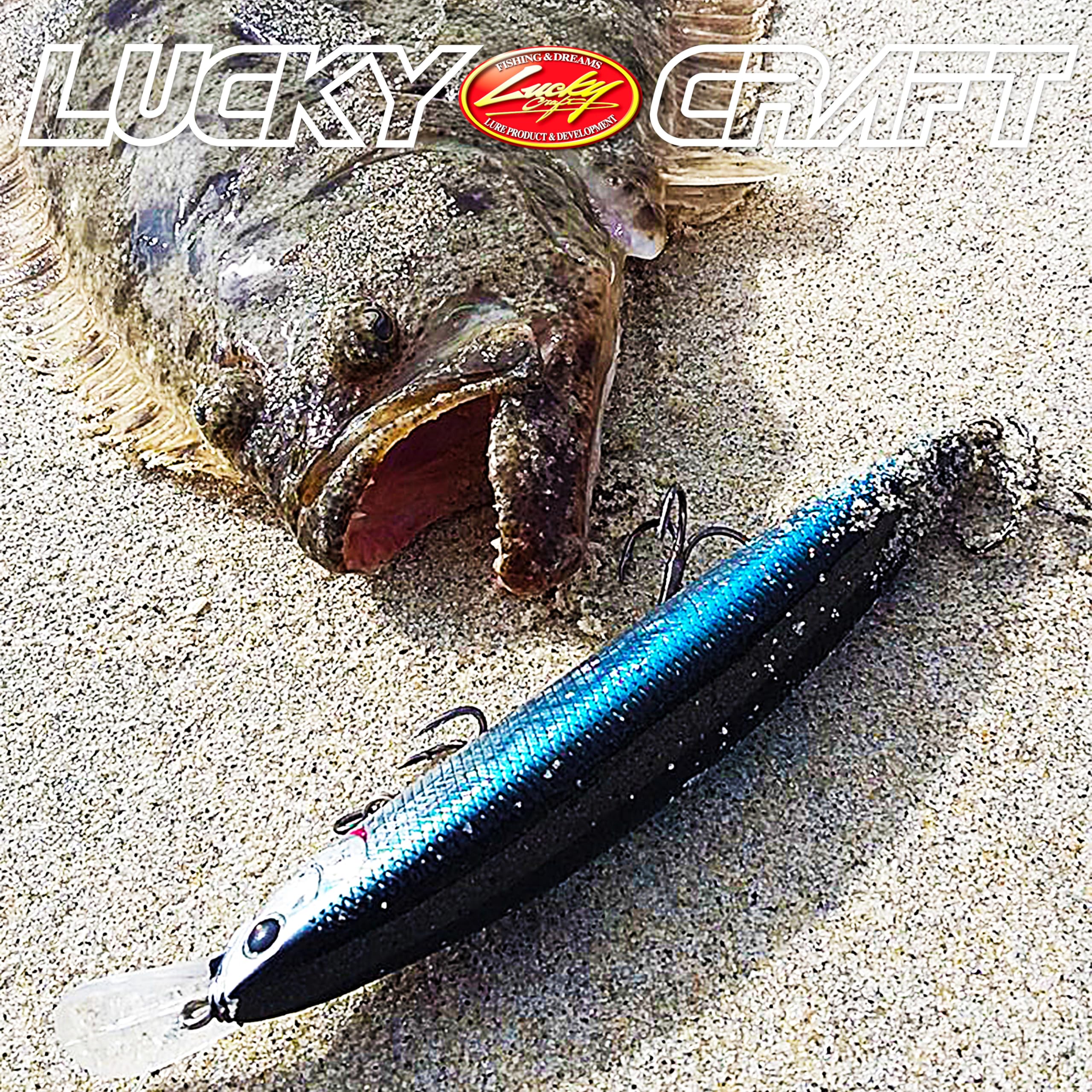Product display showing Lucky Craft Surf Pointer 115MR 714 Metallic Sardine packaging