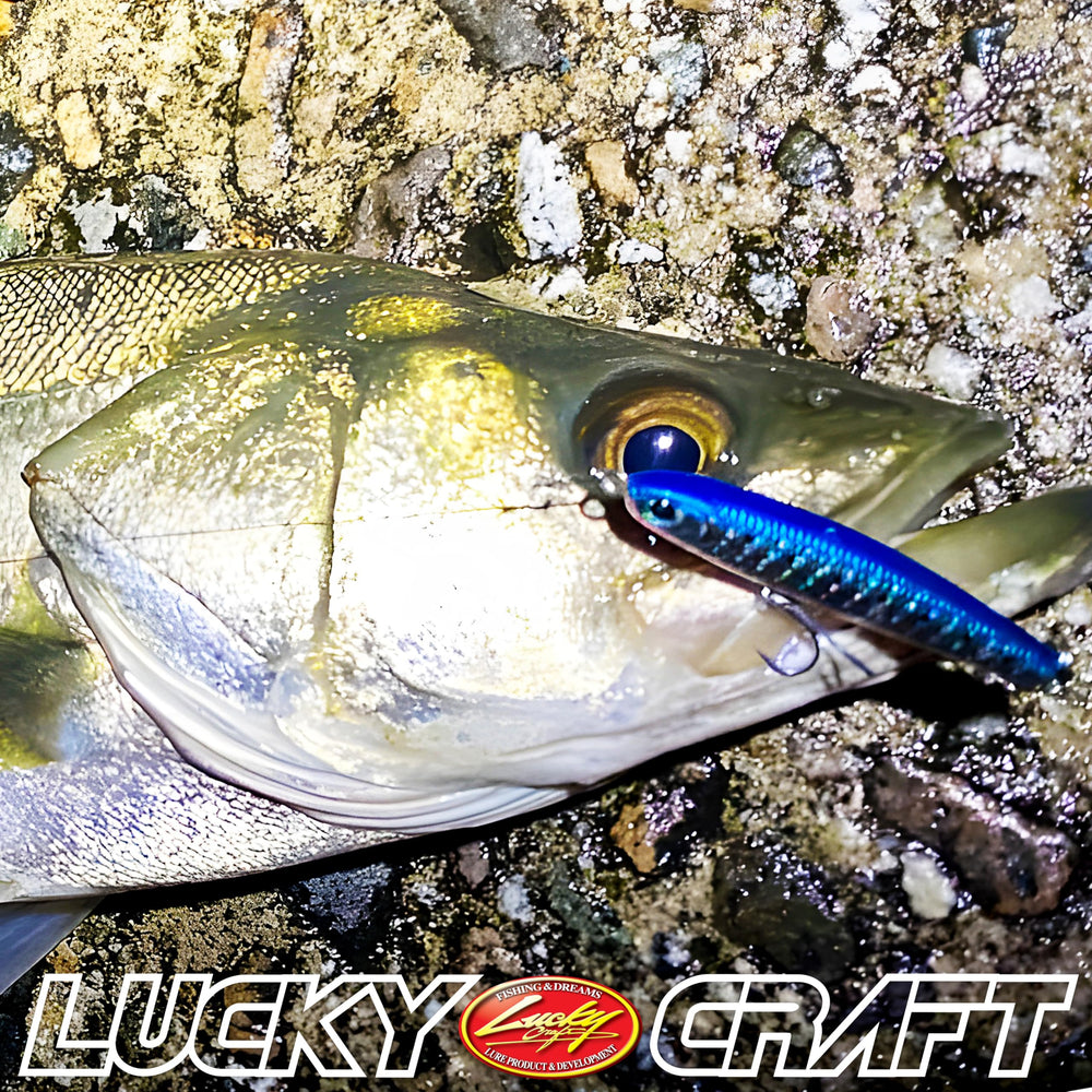 LUCKY CRAFT Wander 95 underwater visibility helps anglers detect strikes quickly.
