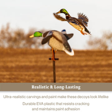 Lucky Duck 4-AA battery compartment powers up to 12–14 hours.