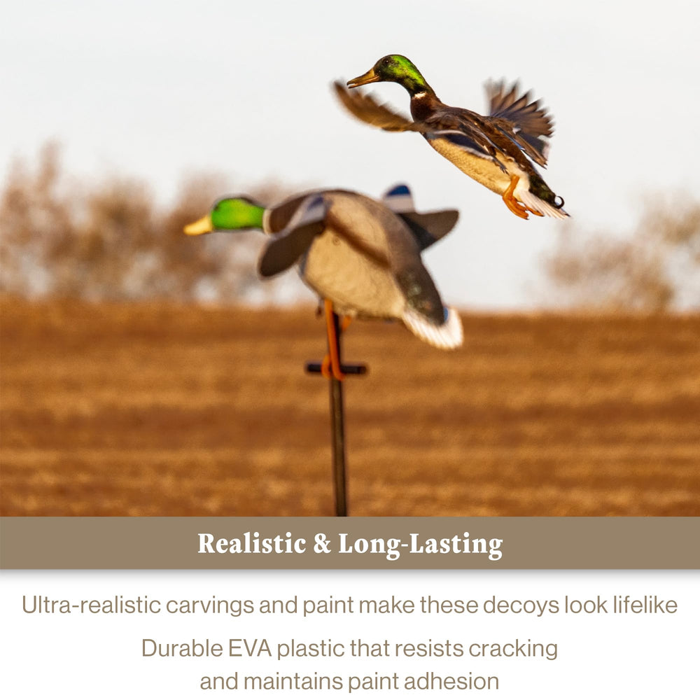 Lucky Duck 4-AA battery compartment powers up to 12–14 hours.