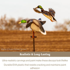 Lucky Duck 42-inch stake set shown for stable, easy field placement
