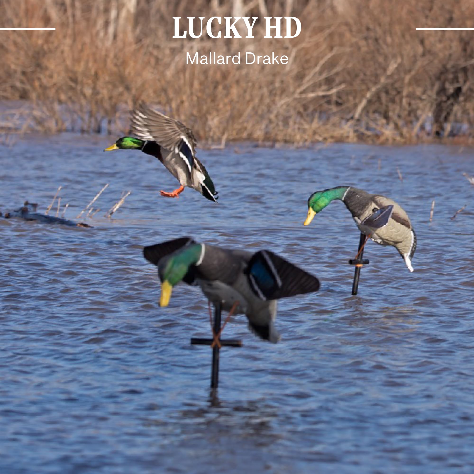 Lucky Duck three-piece 42-inch stakes simplify setup and positioning.