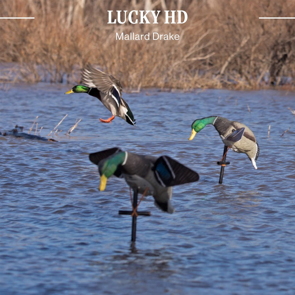 Lucky Duck three-piece 42-inch stakes simplify setup and positioning.