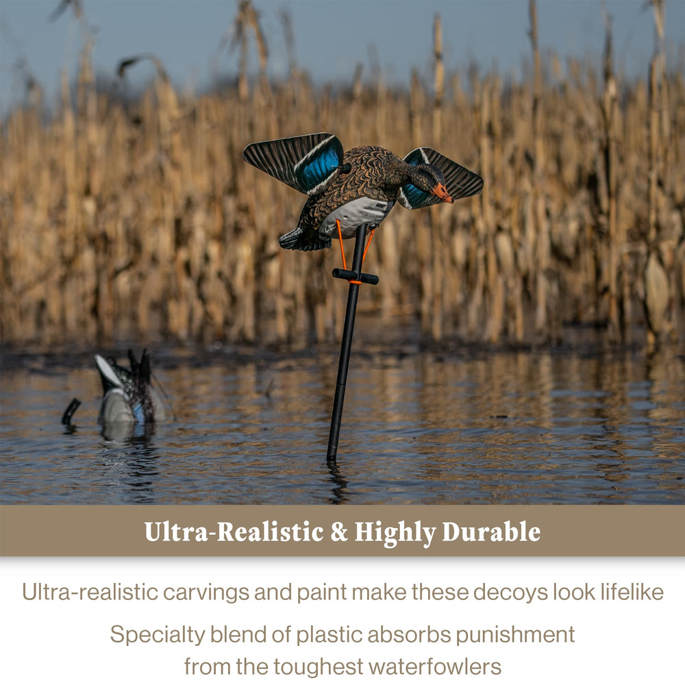 Lucky Duck EVA plastic body provides durable season-long use