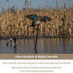 Lucky Duck EVA plastic body provides durable season-long use