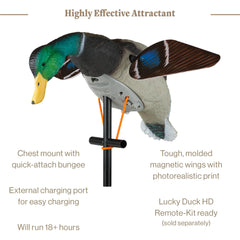 Lucky Duck EVA plastic body provides durable, multi-season hunting use.
