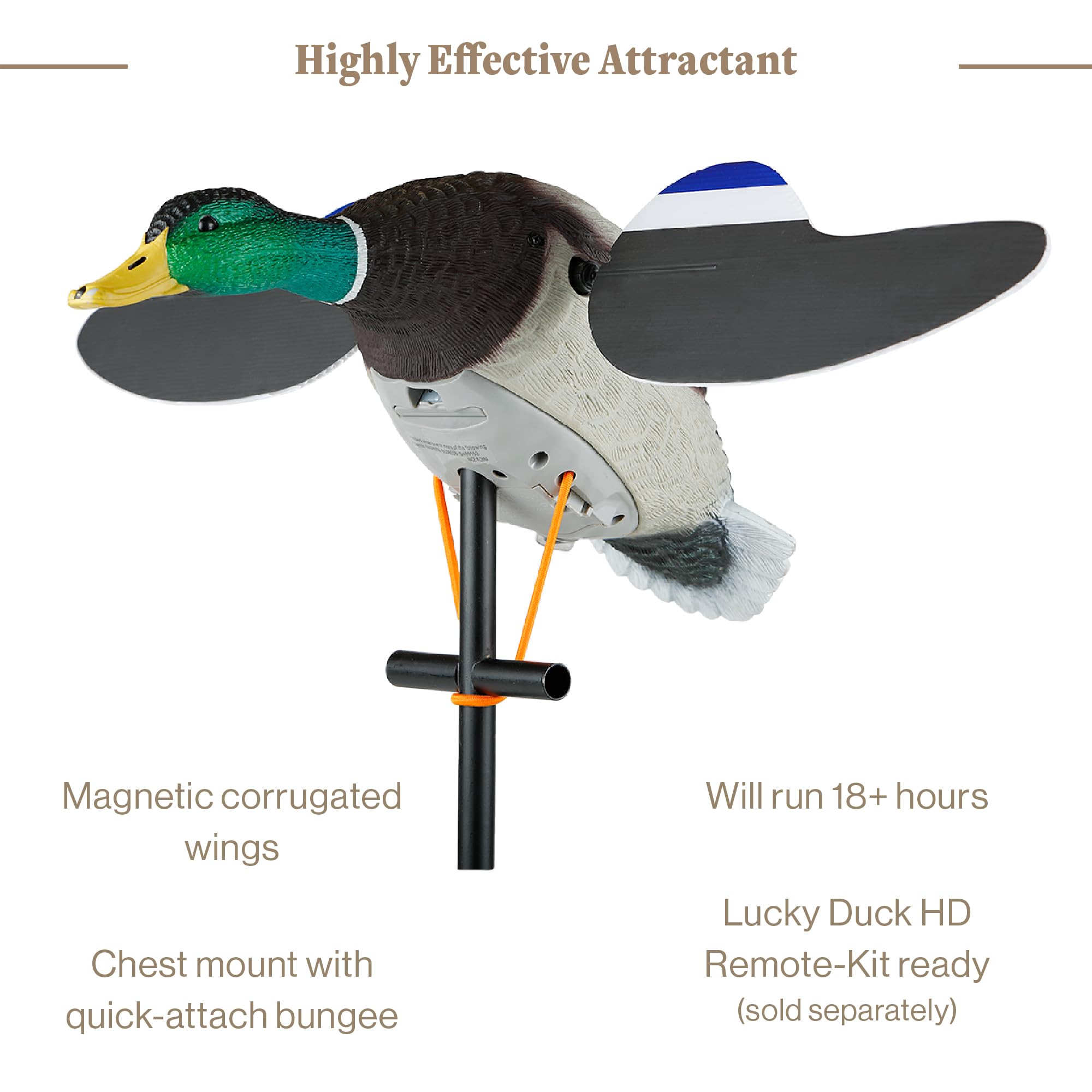Lucky Duck Lucky Junior II 6V durable EVA body built for multiple field seasons.